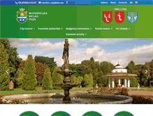 Tablet Screenshot of morshyn-rada.gov.ua